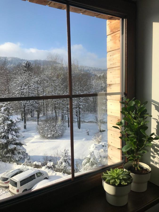 Ubytovani U Potoka Destne v Orlickych horach Kültér fotó