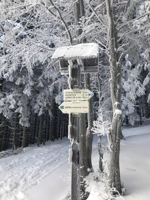 Ubytovani U Potoka Destne v Orlickych horach Kültér fotó