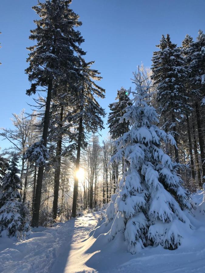 Ubytovani U Potoka Destne v Orlickych horach Kültér fotó