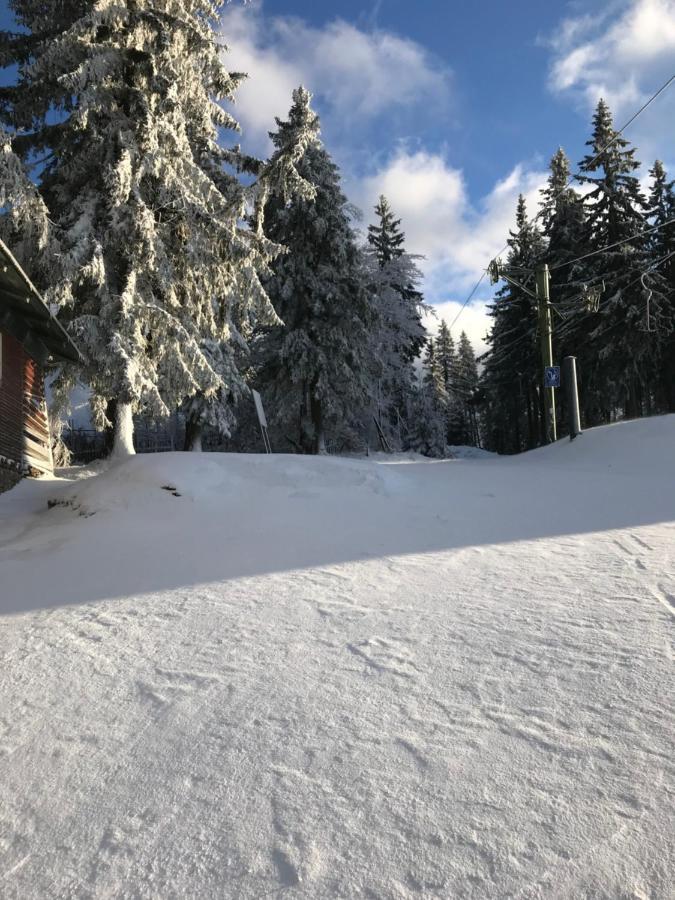 Ubytovani U Potoka Destne v Orlickych horach Kültér fotó