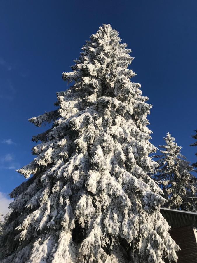 Ubytovani U Potoka Destne v Orlickych horach Kültér fotó